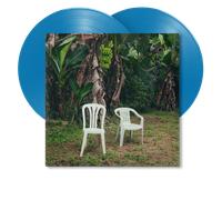 DeBÍ TiRAR MáS FOToS (LP Azul)