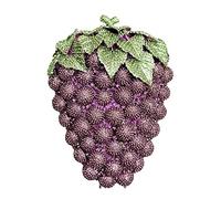 DEBIMY Hueco tallado uva Rhinestone noche embrague mujeres lujo cristal bolsos bolsos para fiesta y boda, Morado