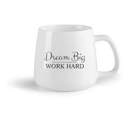 DEBINGY Frutta in ceramica Tazza in ceramica originale Cultura aziendale, duro lavoro, citazioni ispiratrici, scuola （14oz/400ml） per Tè, caffè e bevande calde