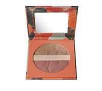 Deborah Milano - Maxi Terra - Cara compacta tropical Bronze SPF 15, 01 Light, Bronzer, colorete e iluminador impermeable, deslizante y sedoso, aporta una piel luminosa y naturalmente bronceada, 18 g