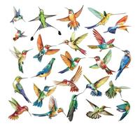 decalmile 25 Piezas Pegatinas de Ventana Pájaros Colibríes Primavera Vinilos para Ventanas Colibrí Verano Anticolisión Vinilo No Adhesivo de Pegatinas Vidrio Ventana