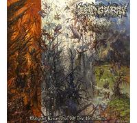 Decaying Purity - Malignant Resurrection Of The Fallen Souls