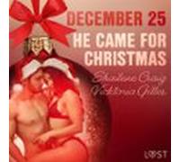 December 25: He Came For Christmas - An Erotic Christmas Calendar