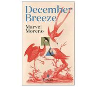 December Breeze: A masterful novel on womanhood in Colombia