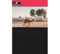 Decentramento e sviluppo locale in Egitto