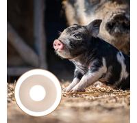 DECHOUS 100 piezas Anillas Elásticas Castración para Ganado y Cerdos Pinzas Cortadoras para y Castración sin Sangrado Flexibles y Resistentes Uso Terneros Corderos y Cabras