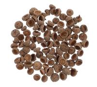 DECHOUS 200 Piezas Tapas Rústicas de Bellota Reales para Manualidades Diy, Decoración Otoñal y Navideña, Mini Bellotas Naturales para Adornos de Mesa, Relleno para Jarrones y Proyectos