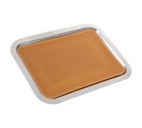 DECHOUS Bandeja de Disección de Cera de Acero Inoxidable 19x26cm para Laboratorio y Aula, Capa de Cera Fondo para Posicionar Especímenes