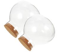 DECHOUS Botella de Vidrio para Terrario 5.11 Pulgadas Tarro Ecológico Tapón de Corcho Adecuado para Ecosistema Cerrado de Plantas y Decoración Interior