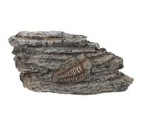 DECHOUS Espécimen Diseño Delicado para Decoración Paleontológica de Resina de Trilobite y Portátil Adecuado para Enseñanza y Escena Decorativa Científica