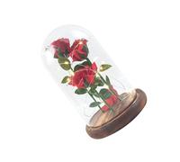 DECHOUS Lámpara de Mesa Rosa Preservada en Cúpula de Cristal Roja, Luz LED Consumo y Larga Duración para Decoración del Hogar en Día de San Valentín
