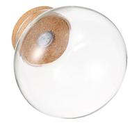 DECHOUS Micropaisaje para Pecera Botella de Vidrio Transparente y Luz LED, Adecuado para Decoración de Interiores y Plantas Suculentas