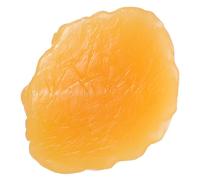 DECHOUS Modelo Anatómico de Grasa Corporal Portátil y Ligero en Tpe de 1 Libra para Nutricionistas y Entusiastas del Fitness en Presentaciones y Salas de Entrenamiento