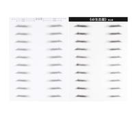 DECHOUS Pegatinas para Cejas 6D Resistentes al Agua para Hombres 10 Pares Parche de Ceja Artificial para Maquillaje Herramienta de Diseño Fácil y Duradera