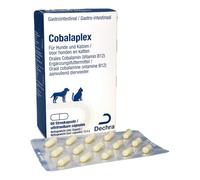 Dechra Cobalaplex | 60 Cápsulas | Complemento alimenticio para perros y gatos | Puede ayudar a la digestión y promover los niveles de vitamina B12 | Con prebiótico Preplex
