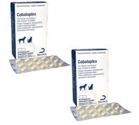 Dechra Cobalaplex | 60 Cápsulas | Complemento alimenticio para perros y gatos | Puede ayudar a la digestión y promover los niveles de vitamina B12 | Con prebiótico Preplex