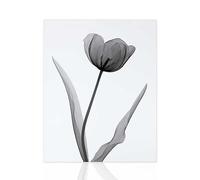 Declea Cuadro moderno Pure Flowers Impresión en blanco y negro - Muebles para sala de estar Impresión de alta calidad
