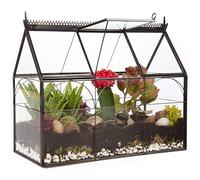 Deco Terrario de Cristal geométrico para Invernadero, suculentas y Plantas de Aire, Invernadero (25 x 12 x 21 cm)
