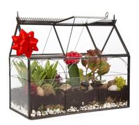 Deco Terrario de Cristal geométrico para Invernadero, suculentas y Plantas de Aire, Invernadero (25 x 12 x 21 cm)