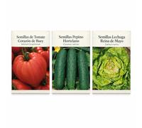 DECOALIVE 3 Sobres de Semillas: Tomate Buey, Pepino y Lechuga Reina de Mayo | Tomate Corazón de Buey, Pepino Hortelano y Lechuga Reina de Mayo: Sobres Separados para el Huerto