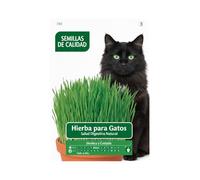 DECOALIVE Hierba Gatera en Semillas para Cultivar Fácilmente en Interior | Hierba para Gato para Mascotas de Casa