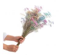 DECOALIVE Ramo Flor Paniculata Mix Preservada para Floristería | Paniculata Mix Preservada de Color Variado para Arreglos Florales y Montajes Decorativos