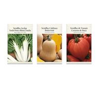 DECOALIVE Semillas Acelga, Butternut y Tomate Buey - Pack 3 Sobres | Acelga Verde Penca Blanca Ancha, Calabaza Butternut y Tomate Corazón de Buey: Cultivo de Hortalizas en Sobres Individuales