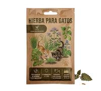 DECOALIVE Semillas de Hierba para Gato para Cultivar en Casa y Disfrutar con Mascotas