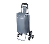 DECODEKO Carrito Compra Plegable de Aluminio, Carrito de Playa 6 Ruedas con Bolsa Oxford Desmontable, 40 L - Carga Máxima 15kg (Gris)