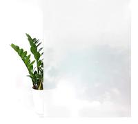 DecoMeister Vinilo Ventanas Estático 45x100 cm - Lámina de Privacidad para Cristales - Película Decorativa Fácil de Aplicar en Ventanas y Mamparas de Ducha, Protector Solar UV - Opaco