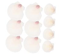 DECOMELODY 10 Piezas Decoración De Conchas Marinas Naturales De Conchas De para Adornos De Acuario para Peceras y Estanques para Artesanías Decorativas DIY