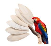 DECOMELODY 6piezas Huesos De Sepia Masticables para Pájaros Juguetes De Dientes Accesorios para Jaulas