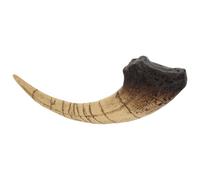 DECOMELODY Adorno de Garra de Dinosaurio Simulada de Resina Realista para Decoración y Colección en Escritorios y Oficinas, Diseño Fiel para Amantes de Fósiles y Dinosaurios