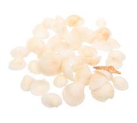 DECOMELODY Caja de Conchas Artesanales Naturales Blancas para Manualidades DIY, Decoración Multifuncional para Peceras y Hogar, Conchas para Hacer Joyas y Adornos Pequeños, Material