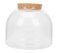 DECOMELODY Micro Landscape Bottle Glass Canister with Wooden Stopper DIY Decorative Terrarium For Home and Office Decor Glass Holder For Fresh Moss Plants and Creative Miniature Scenes