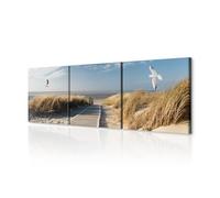 decomonkey Cuadro Lienzo Set Playa 180x60 cm 3 piezas Impresión Decoración Cuadro De Pared Material Tejido no Tejido Gráfica Foto Salon Mar Arena Gaviotas Pájaros Hierba Olas