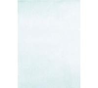 Decopatch - fda503o Papel Número 503 Paquete (Plata, 395 x 298 mm), para sus papmachés, 20 hojas