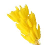 Decoración con hierba de pampa seca, Flores secas de cola de conejo for decoración de jarrones, multicolor, paquete de 60/100/120 unidades(Yellow,100pcs)