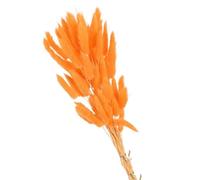 Decoración con hierba de pampa seca, Flores secas de cola de conejo for decoración de jarrones, multicolor, paquete de 60/100/120 unidades(Orange,120pcs)