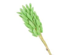 Decoración con hierba de pampa seca, Flores secas de cola de conejo for decoración de jarrones, multicolor, paquete de 60/100/120 unidades(Green,60pcs)