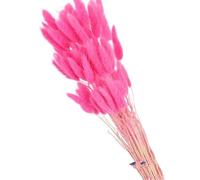 Decoración con hierba de pampa seca, Flores secas de cola de conejo for decoración de jarrones, multicolor, paquete de 60/100/120 unidades(Dark Pink,60pcs)