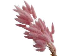 Decoración con hierba de pampa seca, Flores secas de cola de conejo for decoración de jarrones, multicolor, paquete de 60/100/120 unidades(Pink,100pcs)