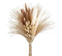Decoración con hierba de pampa seca, Hierba de la pampa seca natural, esponjosa, for conejos, paquete de 25 a 70 piezas(49pcs)