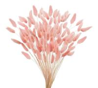 Decoración con hierba de pampa seca, Paquete de 20-120 flores secas de cola de conejo multicolor(Light Pink,120)