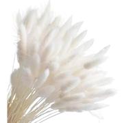 Decoración con hierba de pampa seca, Paquete de 20-120 flores secas de cola de conejo multicolor(White,120)