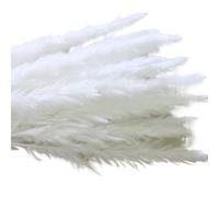 Decoración con hierba de pampa seca, Ramo de flores secas de 45 cm, colas de conejo, junco, hierba de la pampa, multicolor, paquete de (5-30)(Pampas Grass White,15 pcs)