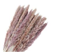 Decoración con hierba de pampa seca, Ramo de flores secas de 45 cm, colas de conejo, junco, hierba de la pampa, multicolor, paquete de (5-30)(Pampas Grass Natural,15 pcs)