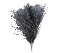 Decoración con hierba de pampa seca, Ramo de flores secas de 45 cm, colas de conejo, junco, hierba de la pampa, multicolor, paquete de (5-30)(Reed,10 pcs)