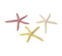 Decoración de acuarios Aqua Della Starfish Mix 10x10x1,1 cm