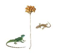 Decoración De Araña Saltadora | Repisa De Hongo Magnético | Decoración del Recinto De Arañas, Accesorio Realista del Terrario, Decoraciónn Recinto De Arañas - Geckos Lagartos Ranas Arborícolas Ho